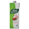 Feel Good Chá Verde com Cranberry 1 Litro